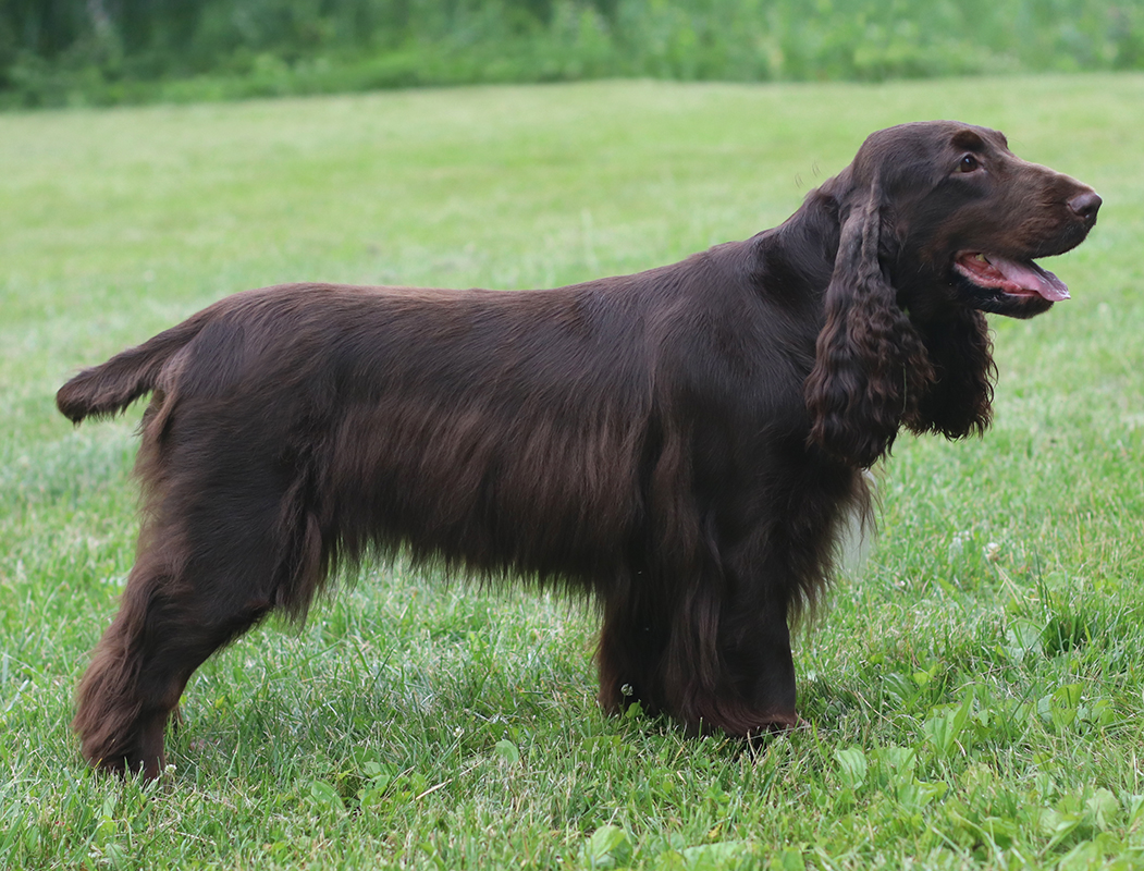 Killara's Glitch in the Matrix